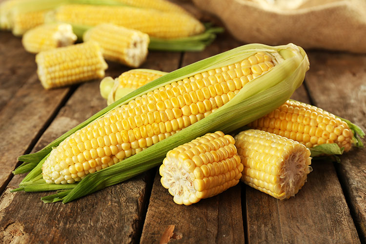 How to Know if Corn on the Cob is Bad? Quick Guide flavrstream