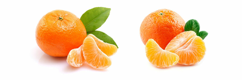 tangerine vs. mandarin orange